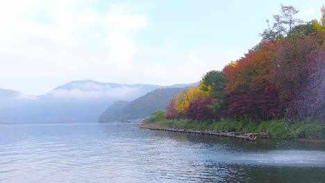 Nami-Island-in-autumn-South-Korea