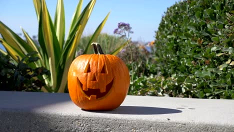 Fondo-de-verano-calabaza-Halloween-feliz-en-cámara-lenta-de-4K-60fps