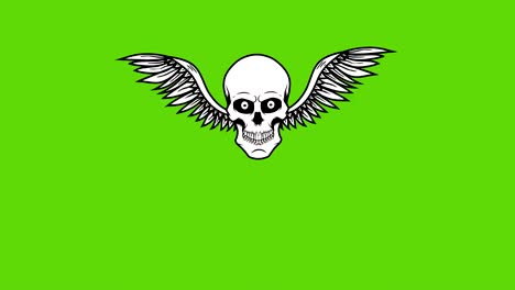 Animation-of-winged-skull-on-green-background