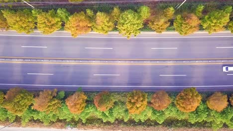 Aerial-view-countryside-road-of-south-korea-in-autumn