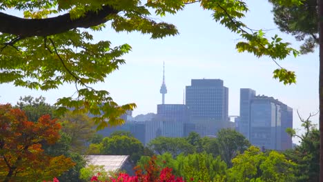 otoño-en-la-ciudad-de-Seúl