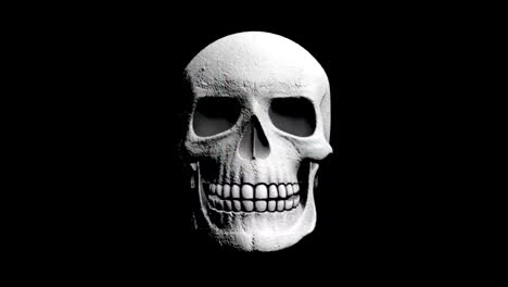 Abstract-Background-Halloween-Flickering-Scary-Skull-28