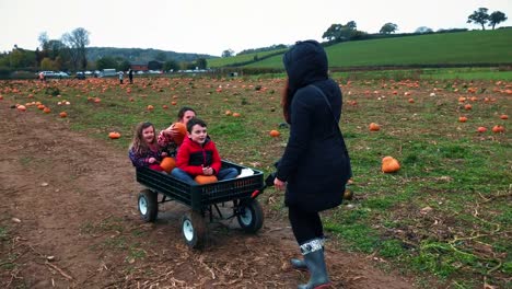 Kinder-Halloween-Kürbis-Bauernhof-Kürbisse-auswählen