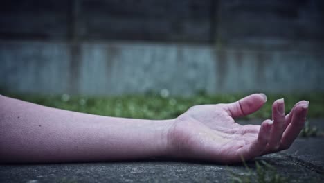 4k-Horror-Hand-with-Black-Hairs-in-reverse