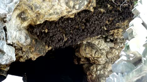 Ratón-de-murciélagos-en-la-cueva-del-arco-en-Pura-Goa-Lawah-(templo-de-la-cueva-de-murciélago).-El-templo-está-construido-alrededor-de-una-cueva-de-piedra-caliza-que-alberga-miles-de-murciélagos.-Este-de-Bali.-Indonesia