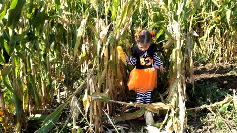 Kleinkind-Mädchen-in-süße-Halloween-verkleiden-im-Maislabyrinth.