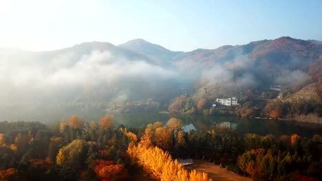 Aerial-view-autumn-of-Nami-island,South-Korea