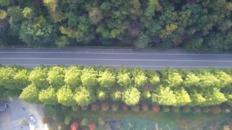 High-angle-view-the-road-in-autumn-South-Korea