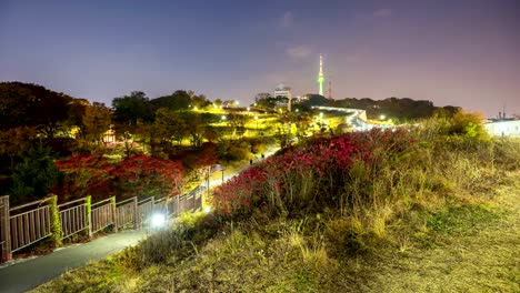 Zeitraffer-des-Herbstes-im-Stadtpark-Namsan-Seoul,-South-Korea