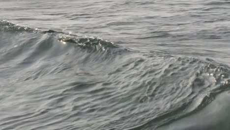 POHANG,-KOREA--Panning-shot-of-moving-sea-wave
