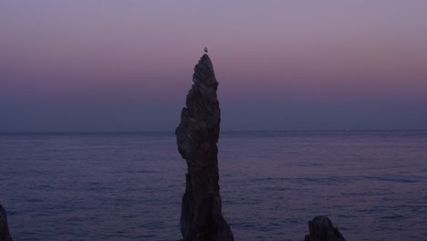 Gaviota-parado-sobre-una-sola-pierna-en-roca-de-Chooam-vela-en-noche