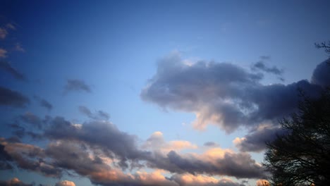 Colorful-Heavenly-sky-over-trees-in-moving-clouds-at-freedom