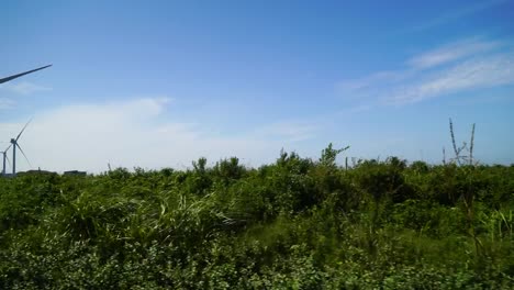 Smaragdmeer-Landschaft-von-Jeju-Island-Beachroad