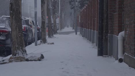 movimiento-lento-de-la-nieve-está-cayendo.-Seúl,-Corea-del-sur