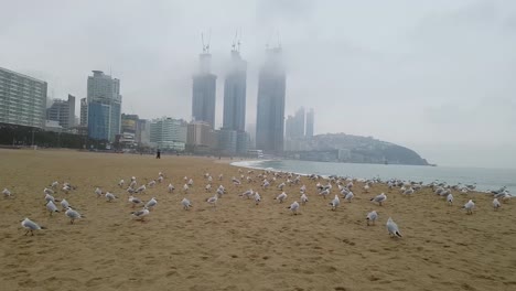 Playa-de-Haeundae-de-invierno-nublado-lluvioso