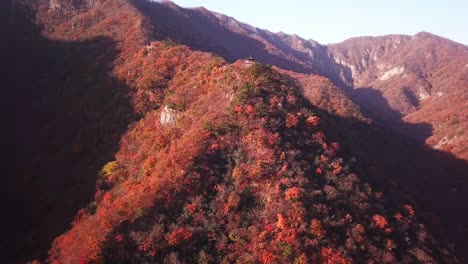 Vista-aérea-otoñal-el-bosque-del-Parque-Nacional-Naejangsan,-Corea-del-sur.