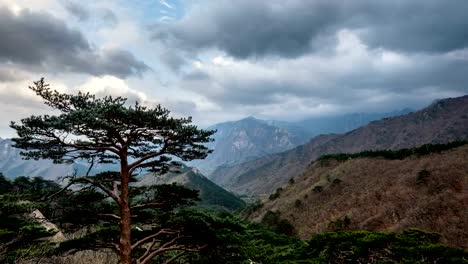 Timelapse-of-tree-and-cliff,-Seoraksan-National-Park,-South-Korea