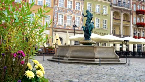 Blumen-auf-dem-alten-Markt-Platz-Rynek-in-Poznan,-Polen