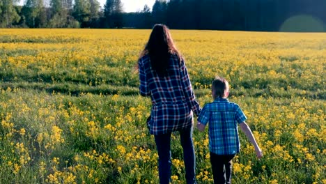 Mutter-und-Sohn-gehen-auf-dem-Gebiet-der-gelben-Blüten.-Hinten-Sie-Ansicht-von.