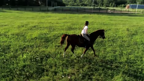 Una-mujer-joven-cabalga-trote-un-caballo-marrón,-disparo-orbital,-cámara-lenta