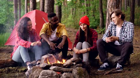 Multiethnische-Gruppe-von-Freunden-Touristen-sitzen-rund-um-Feuer-Reden-und-lachen,-junger-Mann-wirft-Brennholz-in-Flamme.-Camping,-Freundschaft-und-Natur-Konzept.