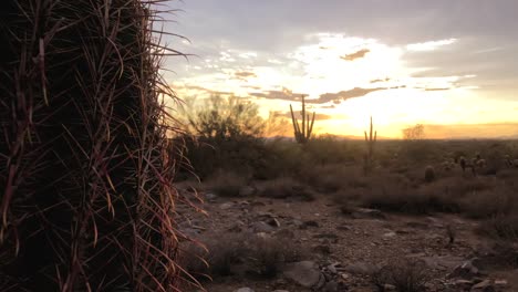 Scottsdale-Arizona-Wüste-Sonnenuntergang