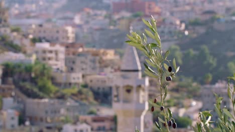 Überblick-über-eine-arabische-Stadt-in-Israel-mit-einer-großen-Moschee-erhebt-sich-über