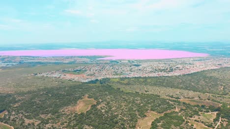 Panorámica-vista-aérea-de-vídeo-de-las-Salinas,-de-color-brillante-lugar-famoso-Lago-Rosa.-Costa-de-la-ciudad-de-Torrevieja-y-el-mar-Mediterráneo.-Costa-Blanca.-Provincia-de-Alicante.-España