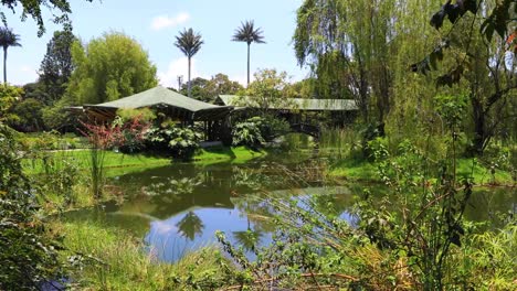 Bogota-pond-and-nature-in-botanical-garden