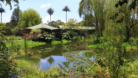 Estanque-de-Bogotá-y-la-naturaleza-en-el-jardín-botánico