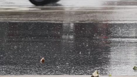 Un-coche-corriendo-en-la-carretera,-lloviendo-debe-tener-cuidado,-porque-las-carreteras-son-resbaladizas-y-accidentes-pueden-ocurrir.