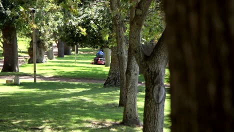 Various-shots-of-the-Groot-Constantia-wine-farm