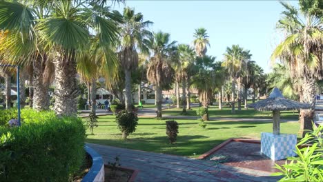 hotel-green-park-4-K-time-lapse-cerca-de-la-ciudad-de-dubai,-Emiratos-Árabes-Unidos
