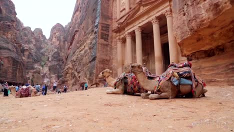 Fassade-des-Schatzes-in-Petra,-Jordanien.