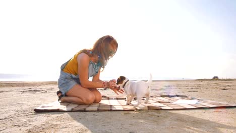 stilvolle-junge-Hipster-spielenden-Hund-Welpen-jack-Russell-am-Strand,-Slow-motion