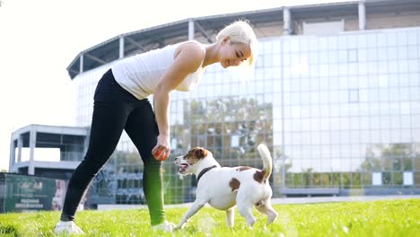 Young-woman-training-little-cute-jack-russel-terrier-in-park,-slow-motion