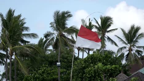 Die-Flagge-von-Indonesien-entwickelt-Wind-vor-dem-Hintergrund-der-Palmen-am-tropischen-Strand