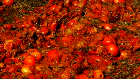 Crushed-tomatoes,-close-up,-Festival-of-tomatoes