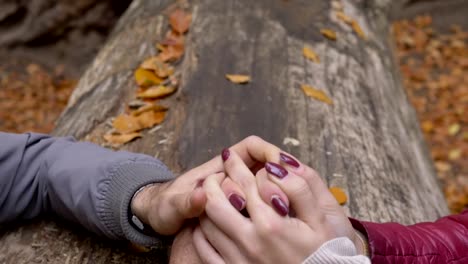 Paar-macht-Frieden-von-Hand-in-Hand-auf-einem-Baumstamm-im-Wald