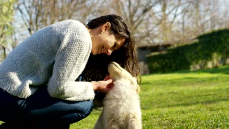 Beautiful-golden-retriever-sits-on-grass,-playing-and-runningand--wagging-tail-in-slow-motion