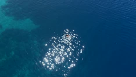 Luftaufnahmen-von-einem-Mädchen-schwimmen-im-blauen-Meer