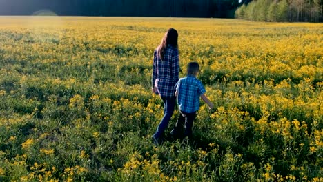 Mutter-und-Sohn-gehen-auf-dem-Gebiet-der-gelben-Blüten.-Hinten-Sie-Ansicht-von.