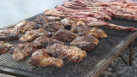 Gegrilltes-Fleisch-typischen-argentinischen-Gastronomie