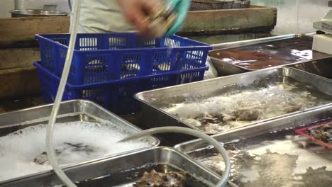 Moving-clams-in-a-Japanese-fish-market