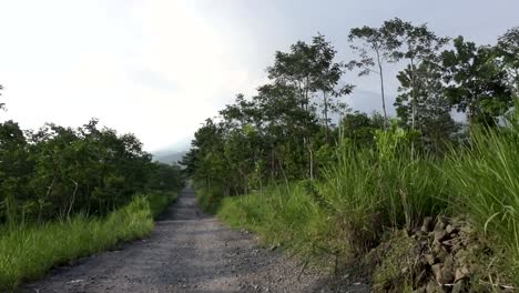 Monte-Merapi,-Gunung-Merapi,-literalmente-montaña-de-fuego-en-Indonesia-y-Java,-es-un-estratovolcán-activo-ubicado-en-la-frontera-entre-Java-Central-y-Yogyakarta,-Indonesia