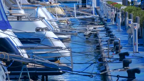 Große-Gruppe-von-Segelyachten-sind-auf-einem-Poller-mit-einem-Kabel-befestigt