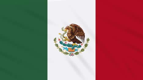 Mexico-flag-waving-cloth,-background-loop