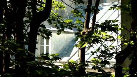 Parisian-Neighbourhood's-window