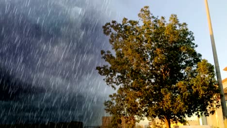 Transparente-día-y-árbol-en-el-sur-de-jeddah-y-Lluvia-fuerte