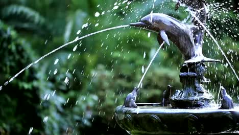 Brunnen-mit-Zahlen-Delfinen